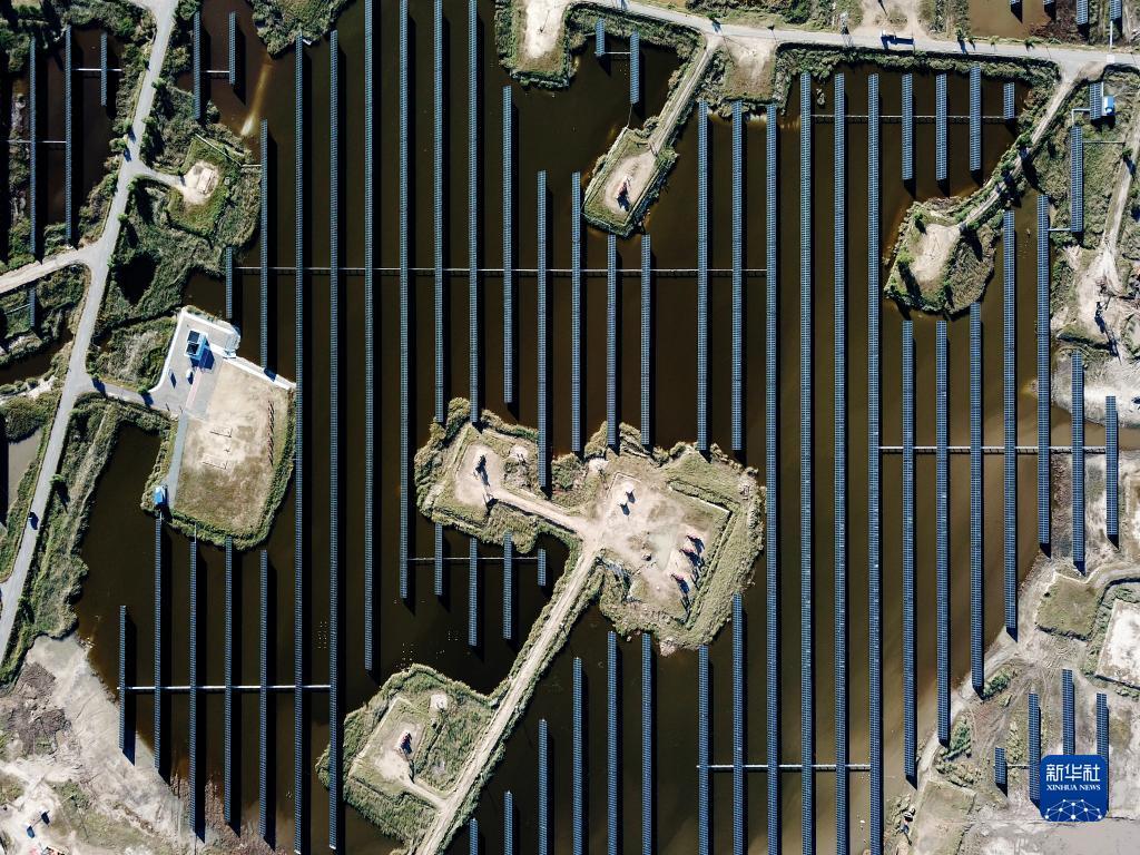 2978游戏手机版官网下